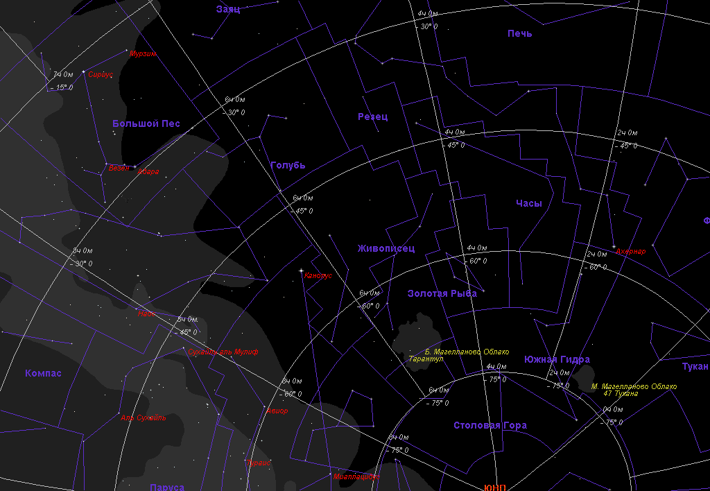 Созвездие южного полушария главная звезда факт 6. Созвездие живописец. Созвездие Северного полушария большой пес. Созвездия Южного полушария. Созвездия на юге.